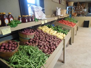 TG Farms