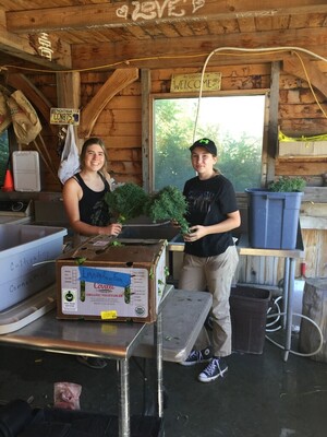 Homestead Organics Farm and Cultivating Connections Montana