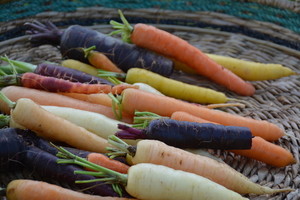 Herb and Plow Farm