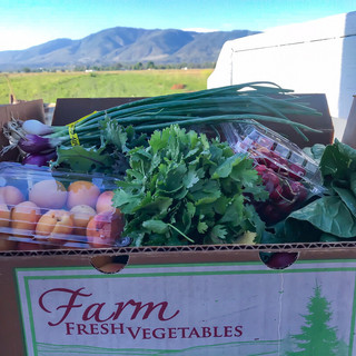 Sage Mountain Farm