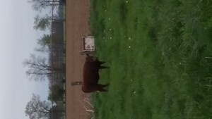 Meadow  Acres  Farm