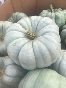 C&T Produce
