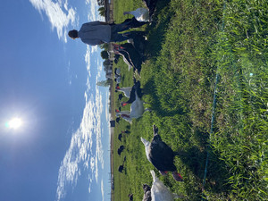 Indian Ridge Farm