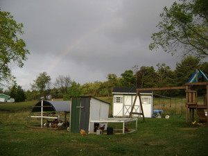 Wandering Bird Farm