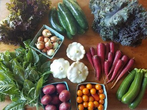 Hunter Hill CSA
