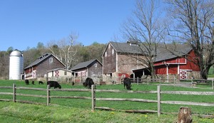 River Bend Farm