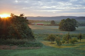 Oak Hart Farm