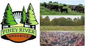Piney River Farms LLC