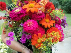 Live Flowers, LLC