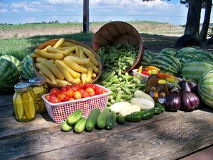 Payne Farm and Produce