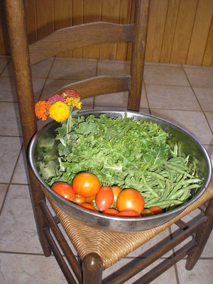 Swallows Eve Garden CSA