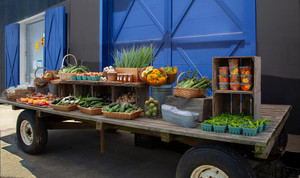 Maitri Farm