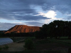 Rio Arriba Farms
