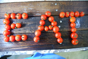 Daily Harvest Express
