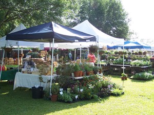 Gabrielle Acres Farm