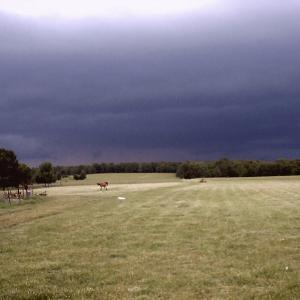 Stoney Acres Sheep Dairy
