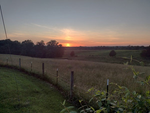 Firefly Fields Farm