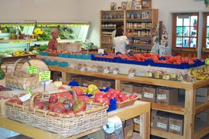 Sunshine Farm
