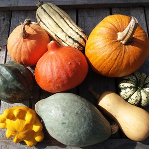 Harlequin Produce