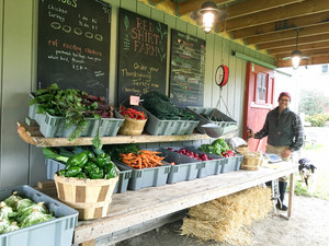 Red Shirt Farm