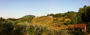 Brushy Mountain Berry Farm