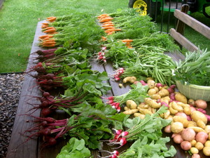 Pleasant Ridge Organic Farm