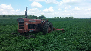 Geneva Lakes Produce