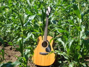 JSB Natural Farms LLC.