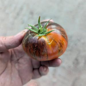 Kern River Permaculture