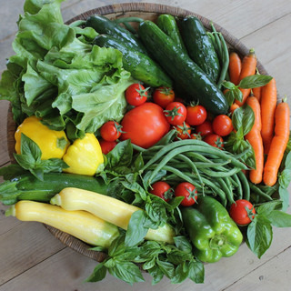 Ripley Farm
