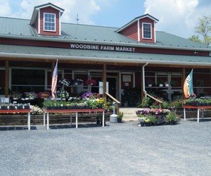 Woodbine Farm Market