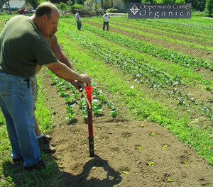 Opperman's Corner Organics CSA