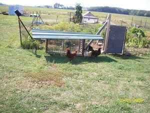 Bird Song Farm