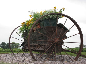 Columbus Urban Farm