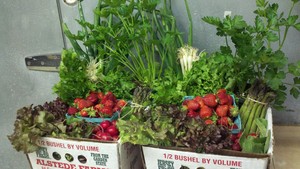 Alstede Farms