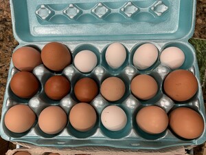 Rocking A Farm, LLC