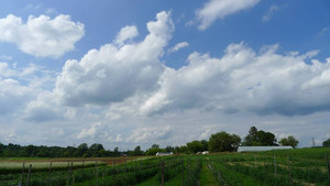 Lake Divide Farm