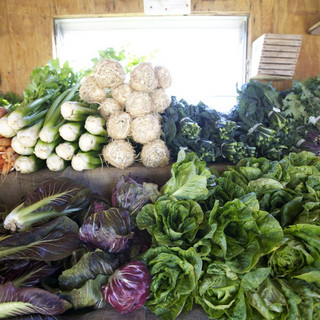 Farm Box Collective