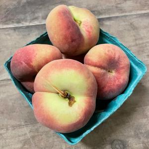 Agriberry Farm and CSA