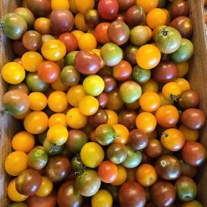 Rufener Farms