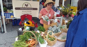 Corn Creek Growers, LLC