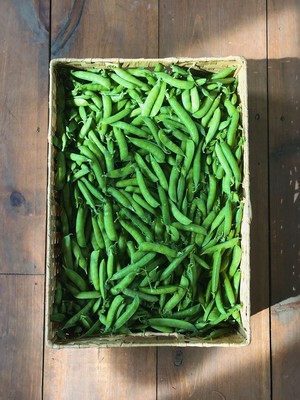 Stoney Lane Organic Farm