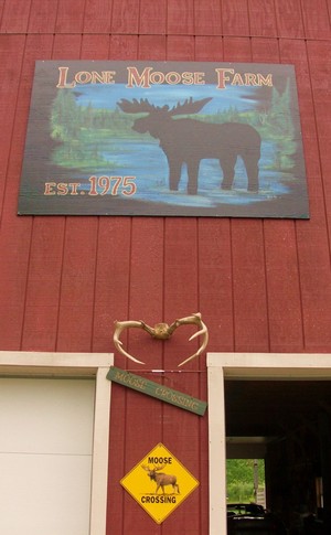 Lone Moose Farm