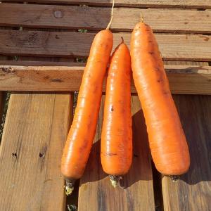 Full Circle Farm