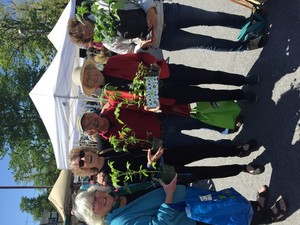 Saugerties Farmers Market
