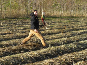 Fiddlehead Farm