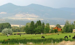 Knox-Bailly Farm