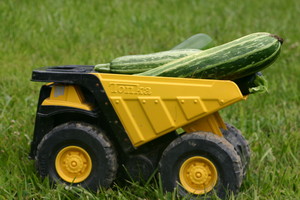Black Valley Farm