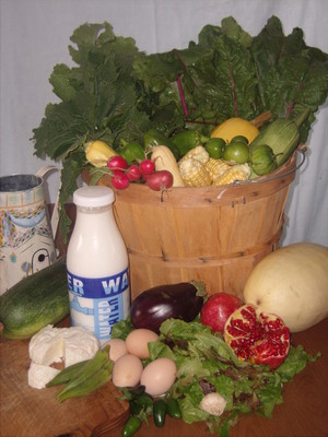 Cotton Bottom CSA Farm