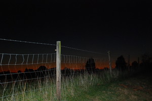 Purple Martin Farm